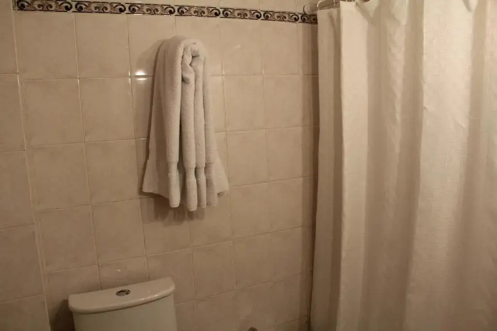 Alpino Hotel