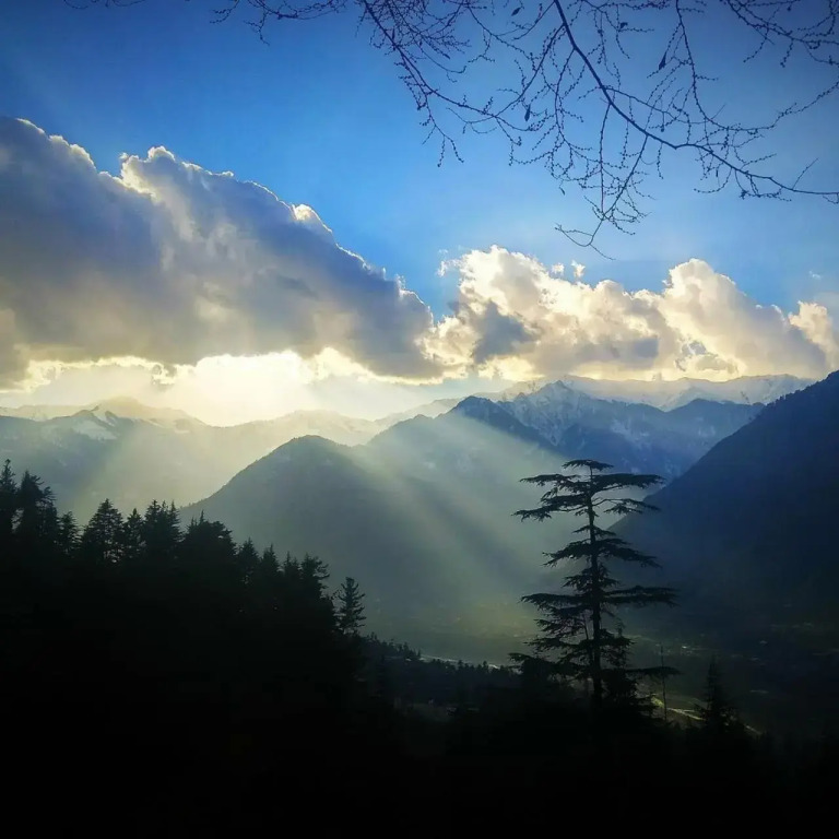 Sohams Chateau De Naggar - Manali