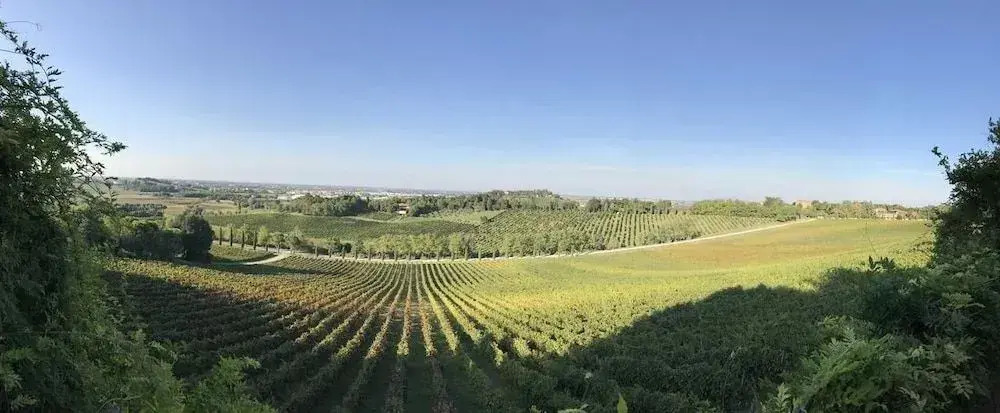 Fattoria Paradiso