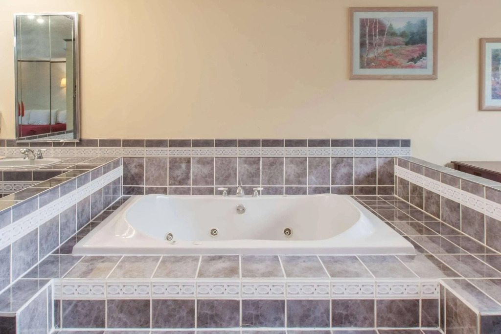 Schenectady Inn & Suites