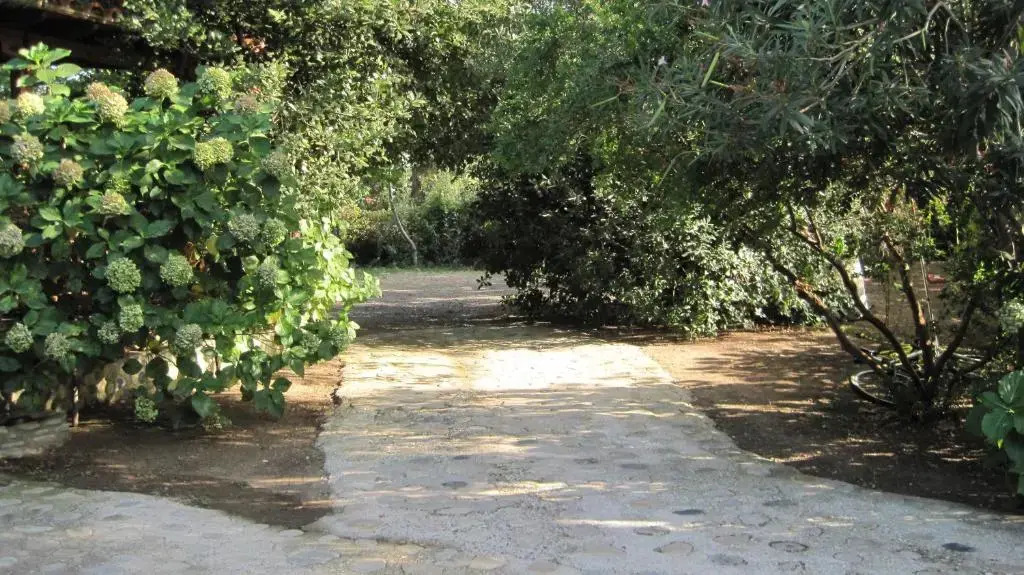 Akamatis Giorgos