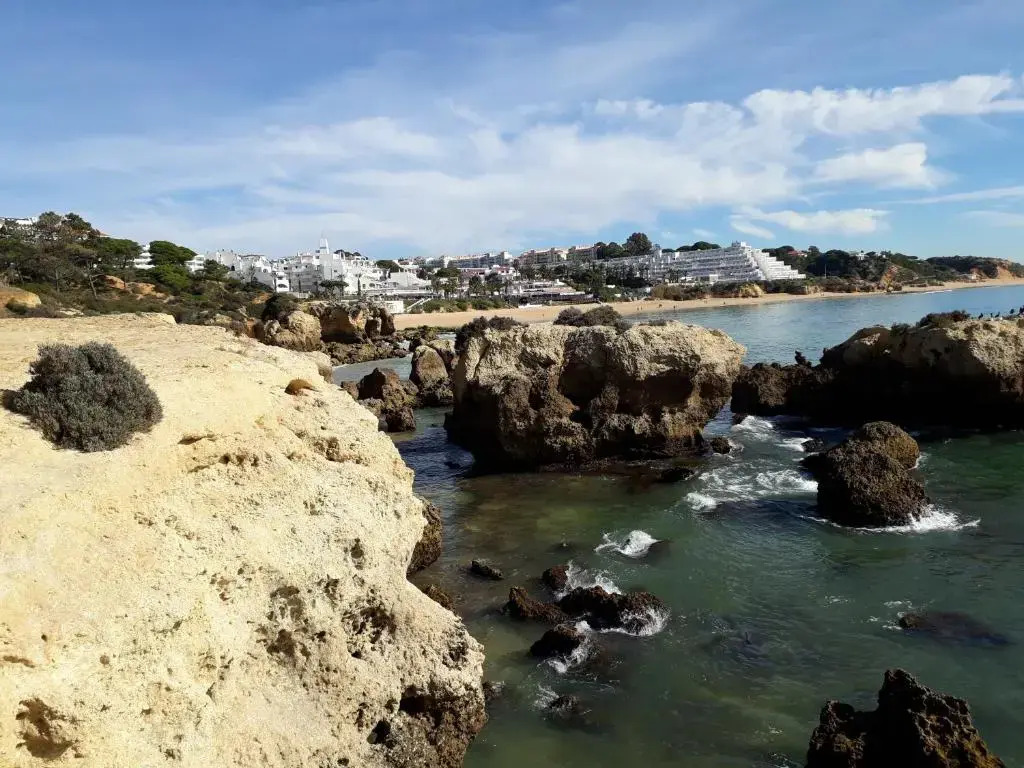 Sonia - Pateo da Aldeia
