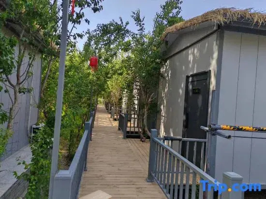 Dunhuang Moguo Xiaozhu Homestay (Mogao Caves Digital Center)