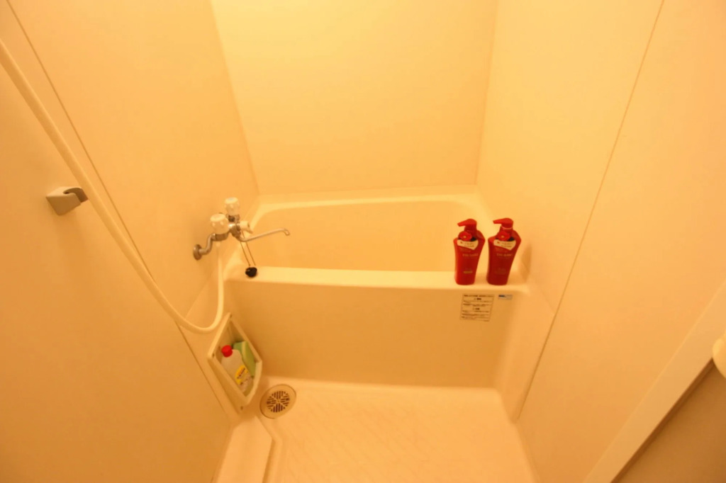 Forest Inn Fukuoka -previously Pure Tenjin