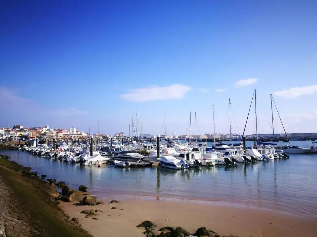 Peniche's Blue & Yellow