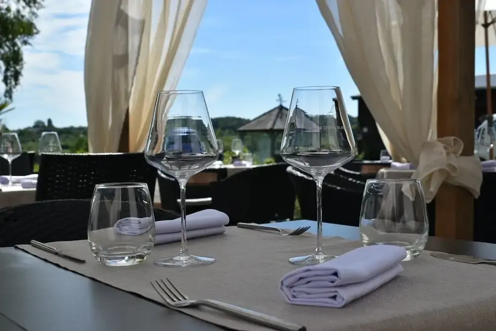 Le Cheval Blanc - Lac du Der - Logis Hotel