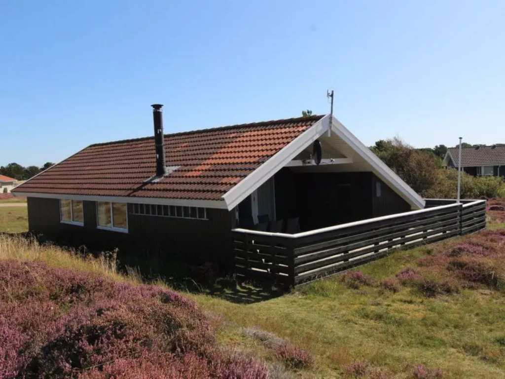 "Shahrukh" - 1.5km from the sea in Western Jutland