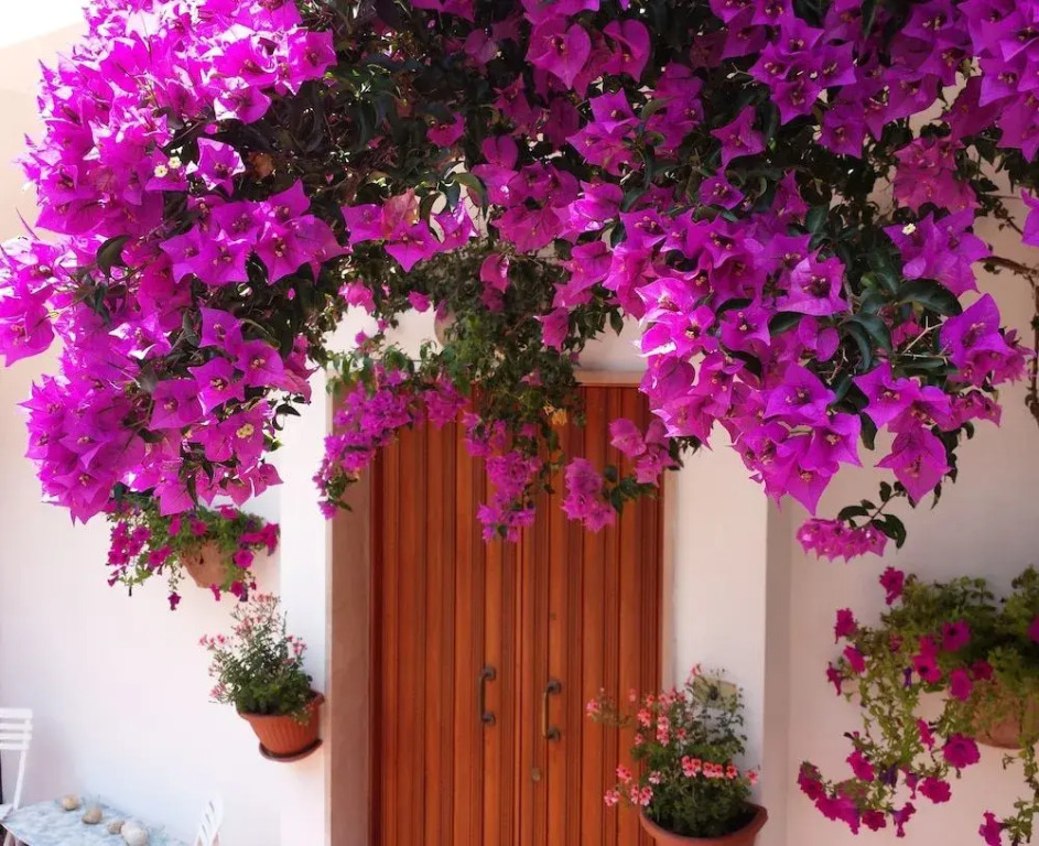 La Rosa dei Venti Bed and Breakfast