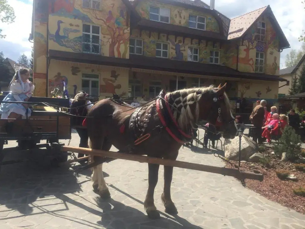 Hotel Encian