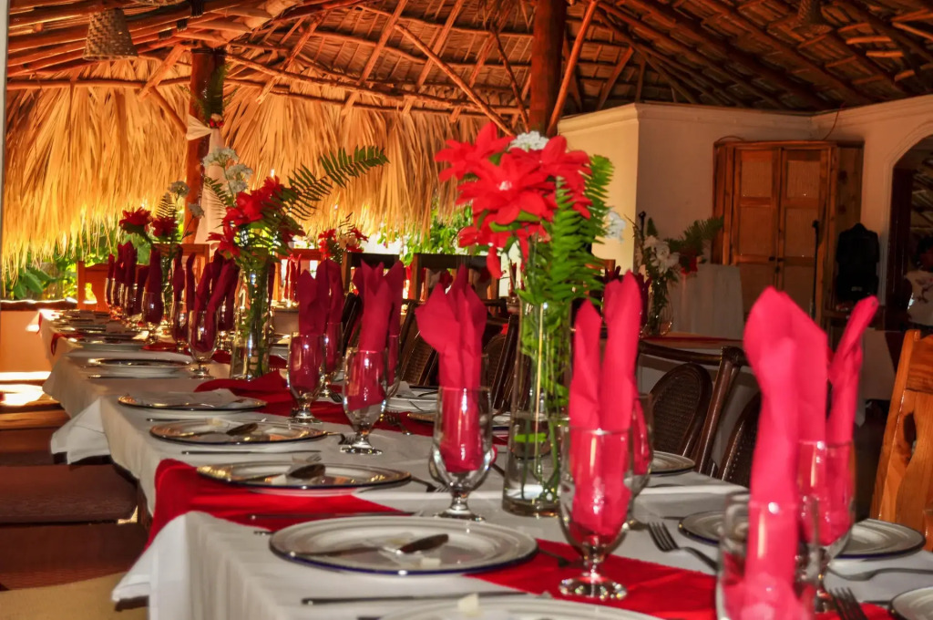 El Jardin Del Coco