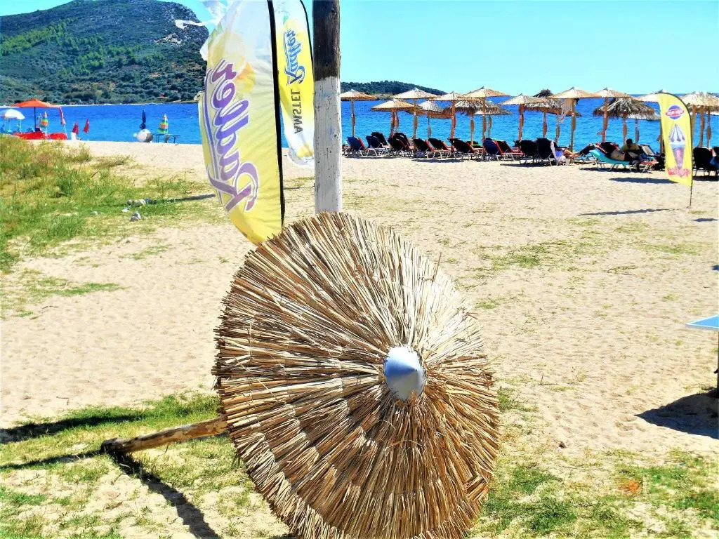 Mezonetes Toroni