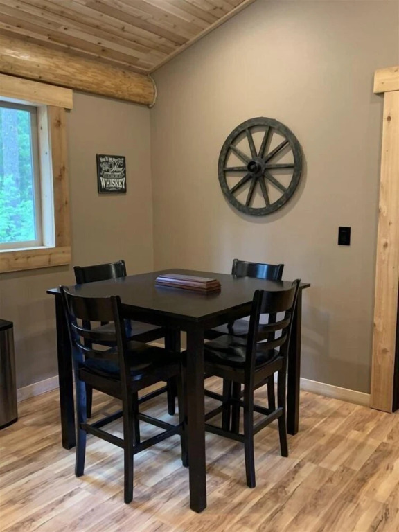 Aspen Cabin