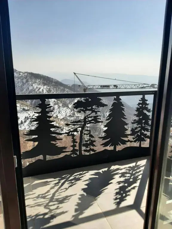 Ariš Kopaonik apartman A21