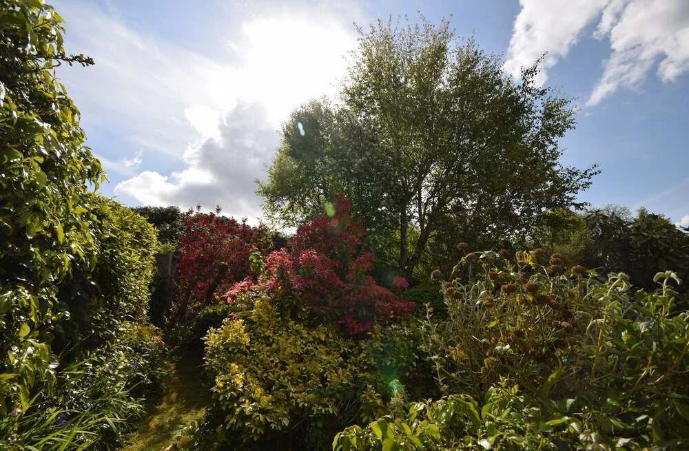 Birch End, Midhurst