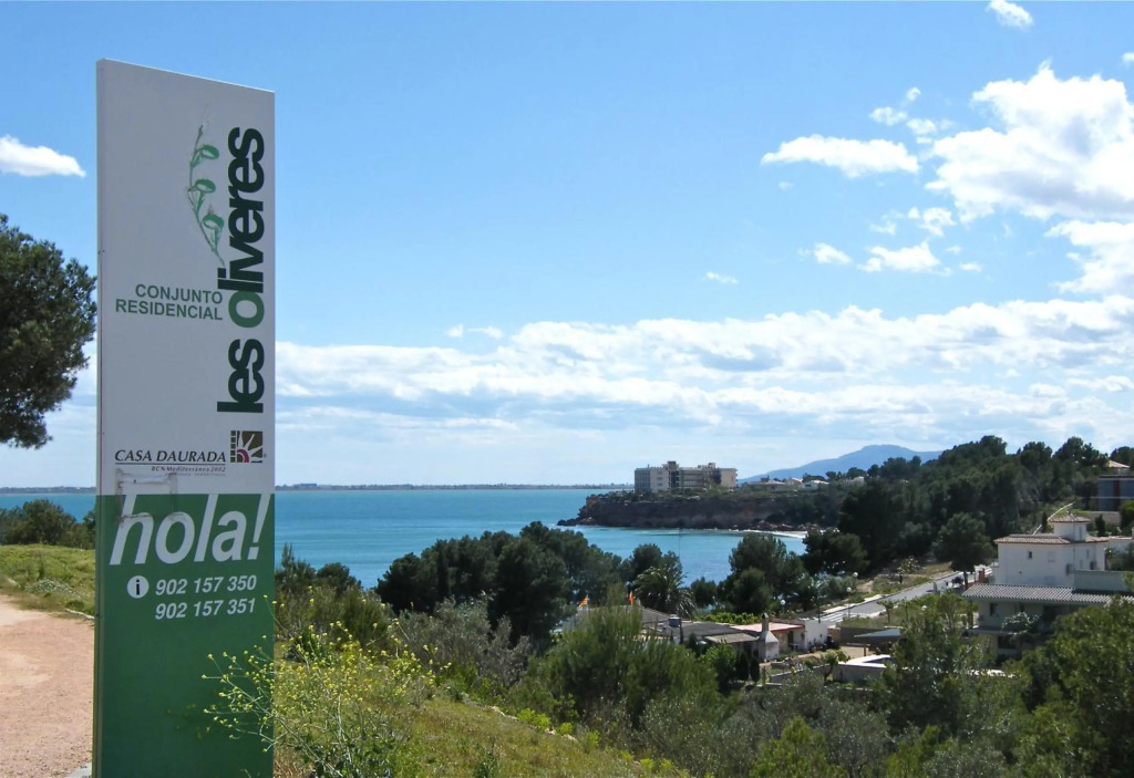 Bouganvilla