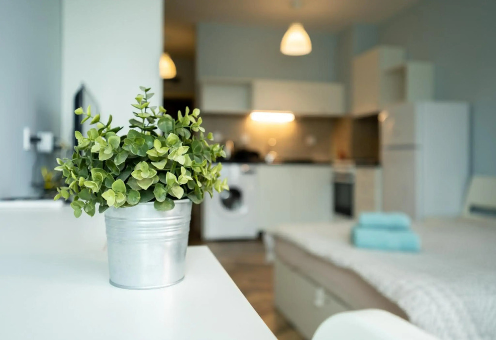 Cozy little apartment in Studentski grad
