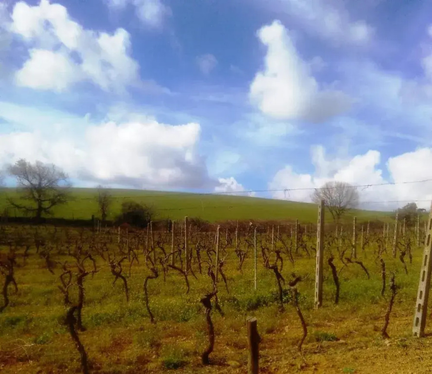 Agriturismo IL CANTINIERE