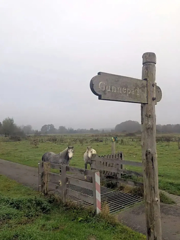 Schaap8 Bed en Breakfast