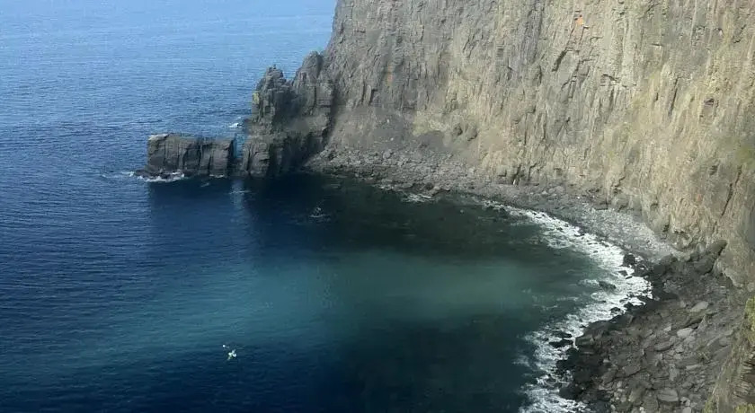 Dolphin View