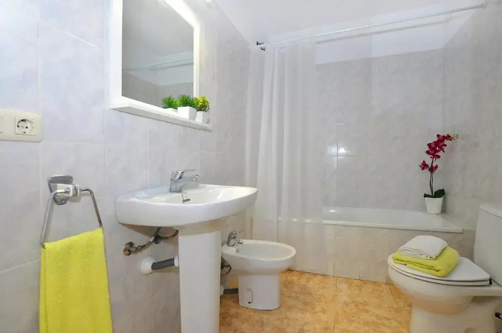 1172 Canyelles