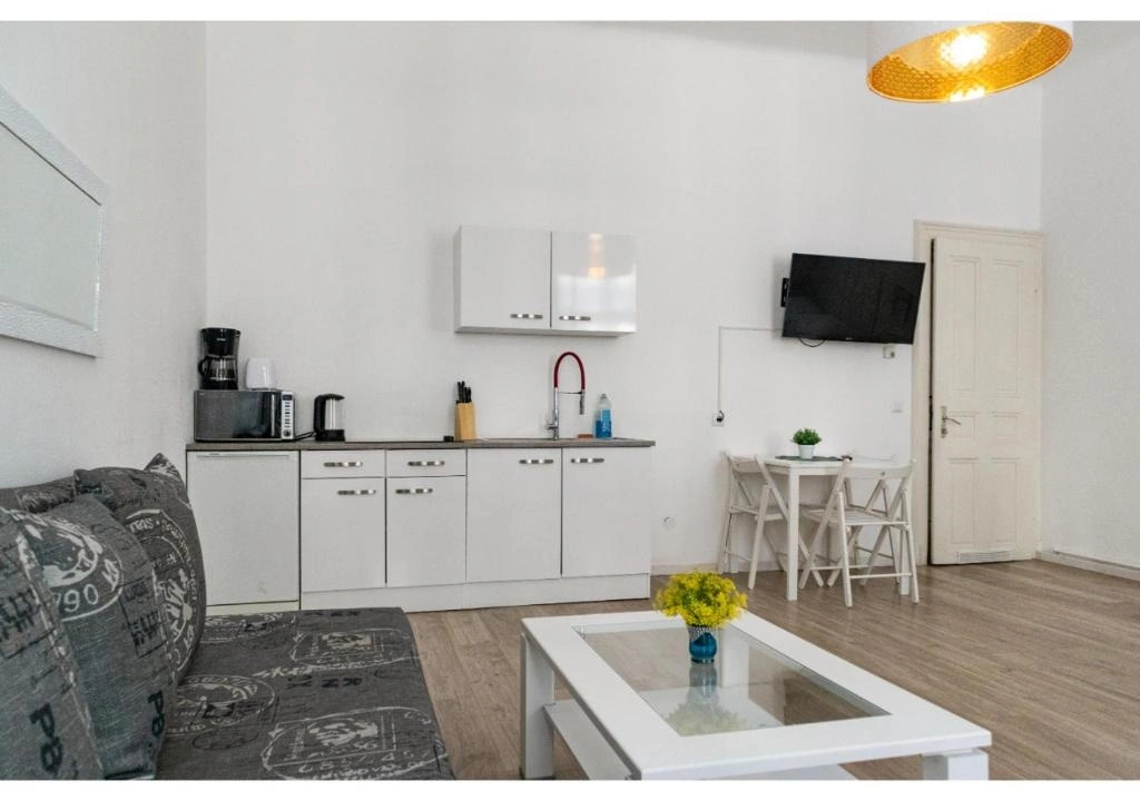 Elegant 1BR Apt. - Great for Long Stays