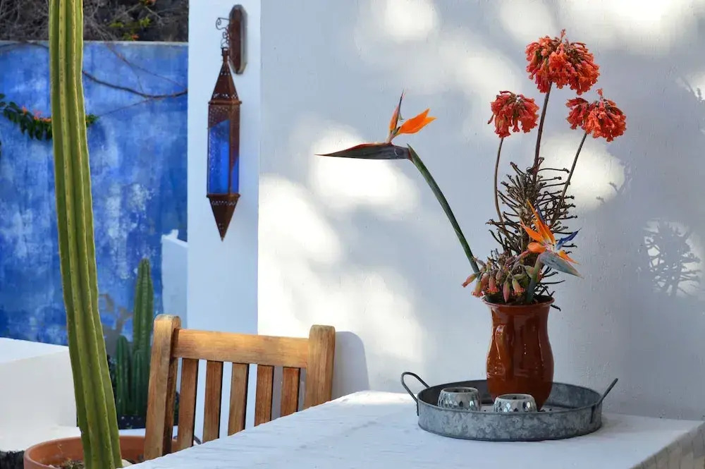 Stylish house in a real Finca with private garden