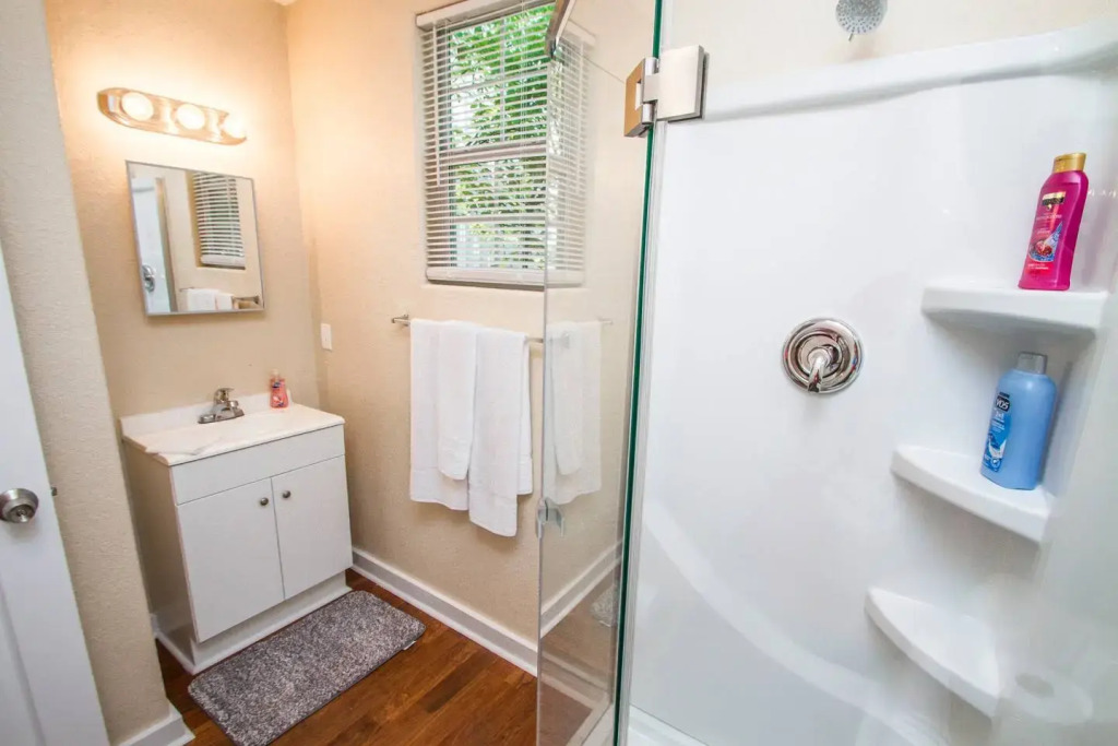 One Bedroom Apartment Near Downtown with Sleeper