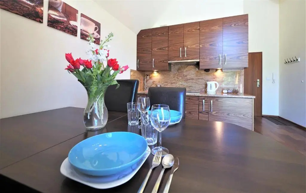 VIP Apartamenty Gorące Źródła