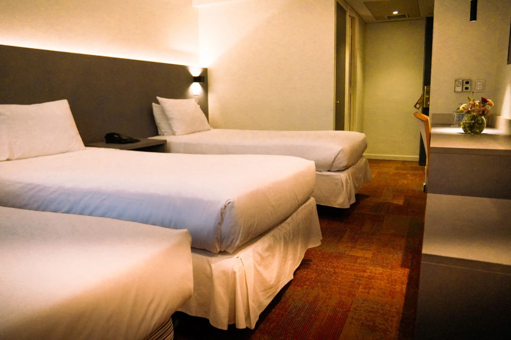 Hotel Torremayor Lyon