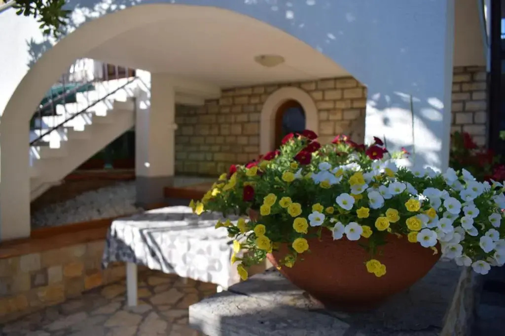 Vila Jelena - Studio apartments for 2 to 3 persons in Sv Filip i Jakov