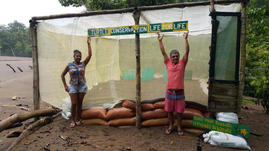 Life for Life Hostel Lodge Drake Bay Home of Sea Turtle Marine Conservation Project Osa Peninsula near San Josecito Beach