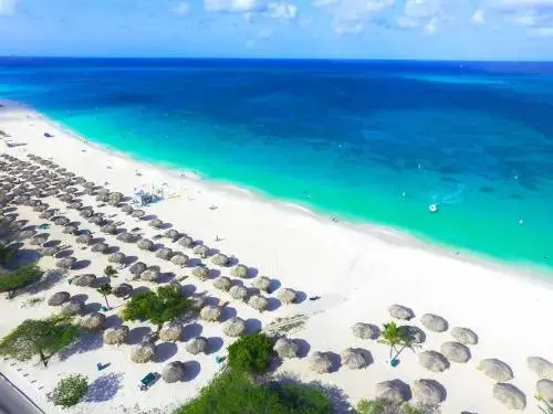 Aruba - Casa Alessandra 2bdr
