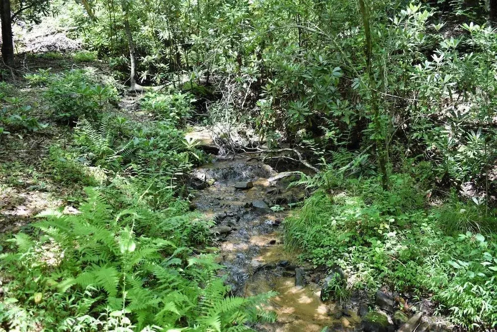 Lucilles Creekside Hideaway