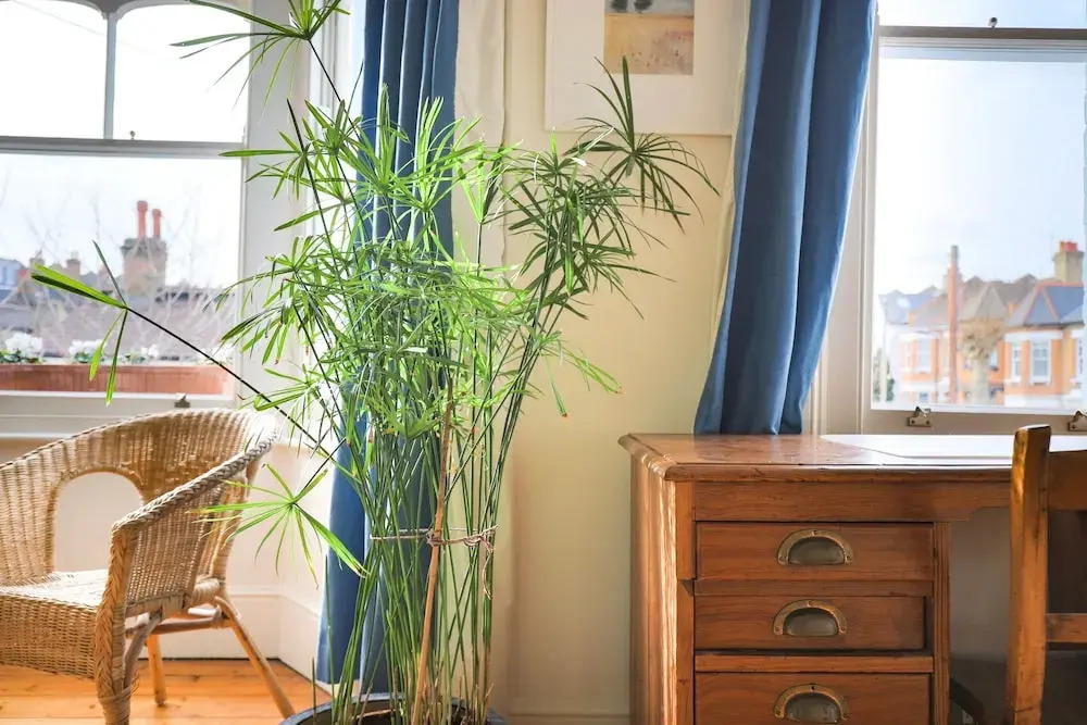 Unique 2 Bedroom House With Yoga Studio