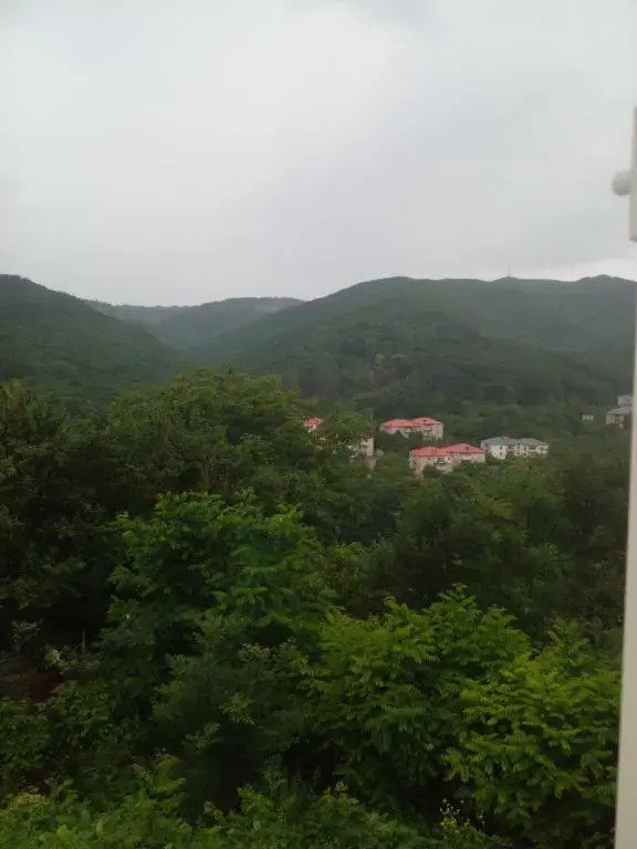 Pirosmani 66