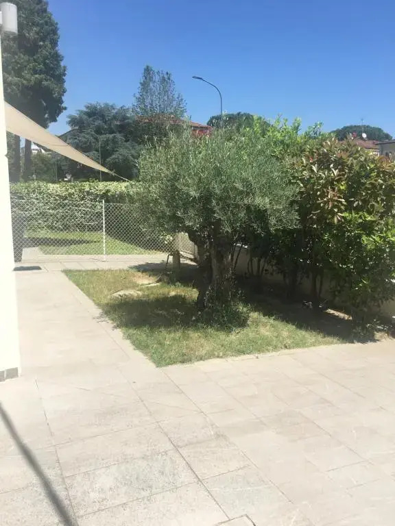 L’Ulivo apartment