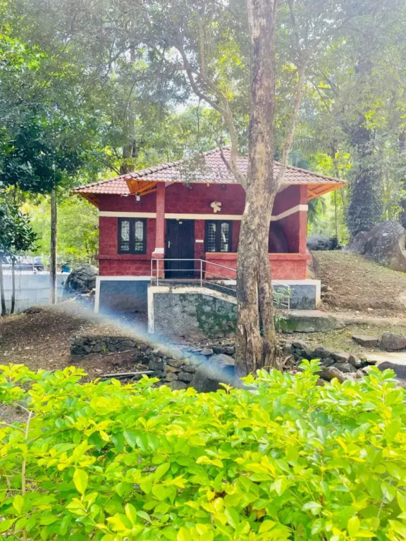 Treetop Resort