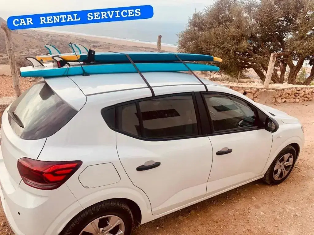 tayyurt surf Maroc