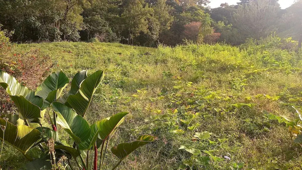 Finca Terra Viva
