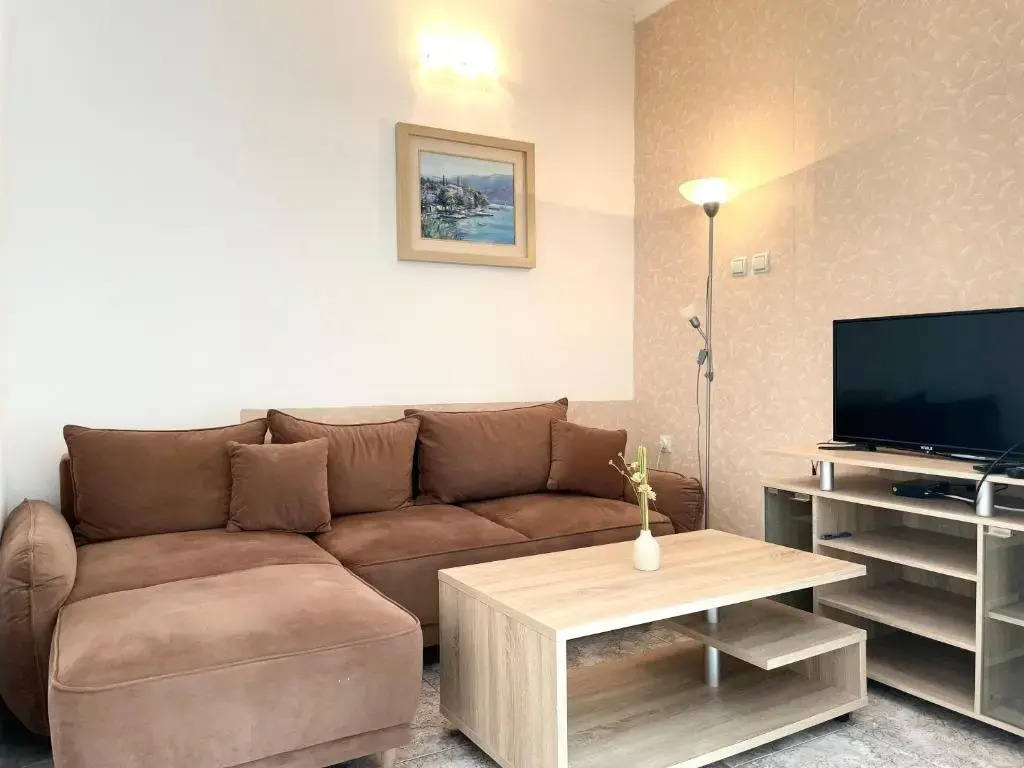 Apartment Vladan