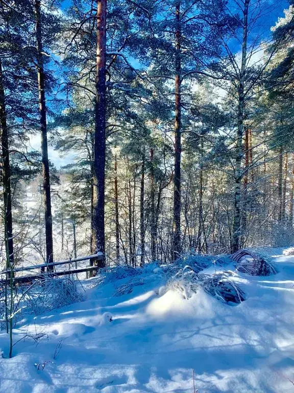 Hotelli Mesku Forssa