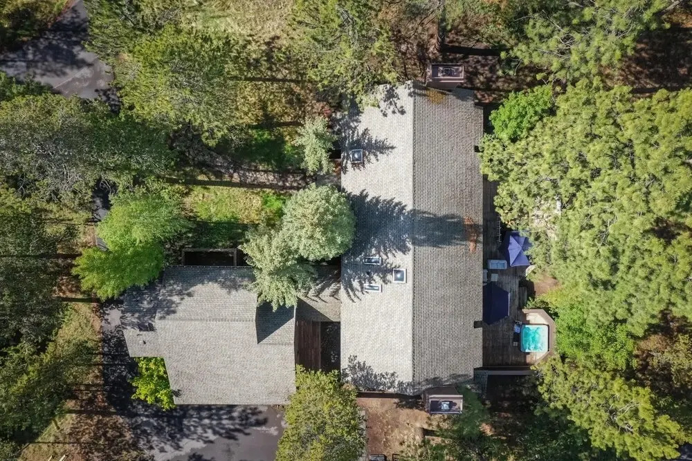 Salishan Lane - Skylight