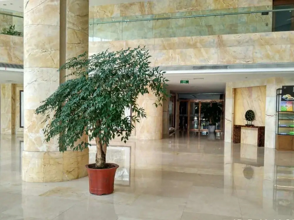 Lanchen Hotel