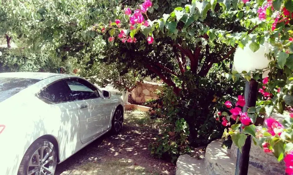 Sadeem Village & Chalet
