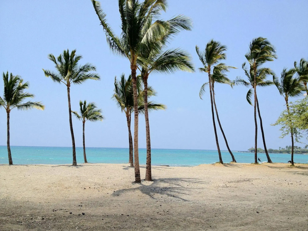 Lava Lava Beach Club