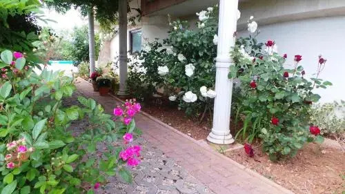 Zadar, Booking Zaton Villa Martinova holiday house with swimming pool