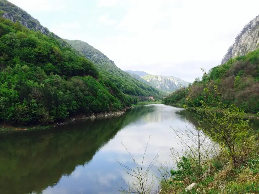 Vilă Turistică Floare de Colt