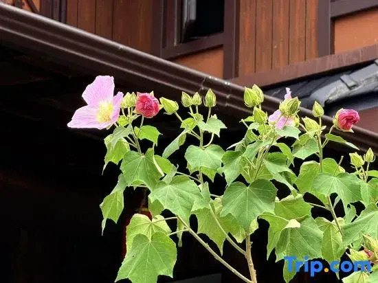 Qingchenli Guesthouse