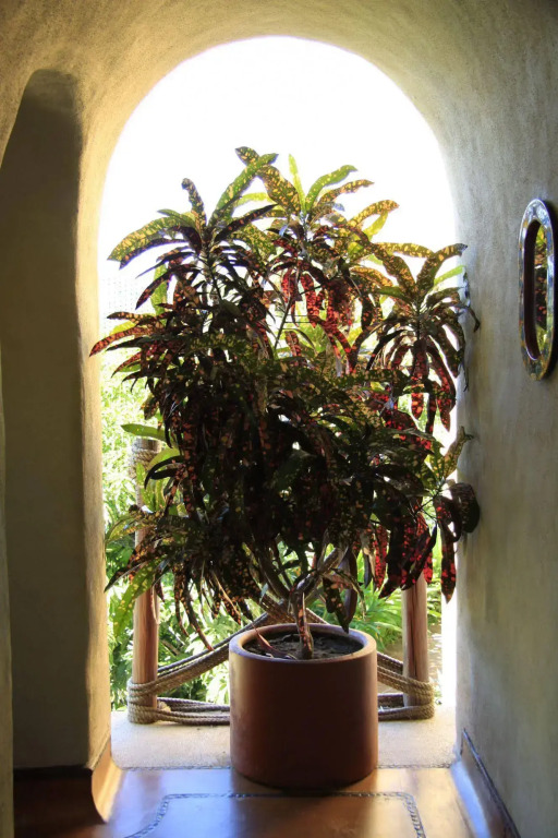 La Villa Luz
