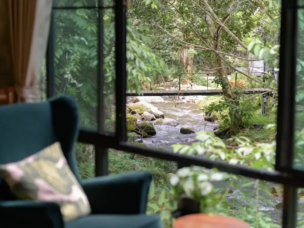The Stream House